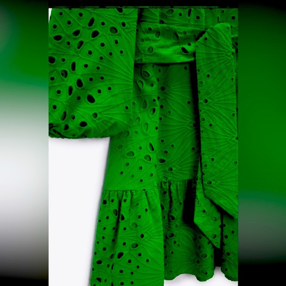 NWT ZARA Sz Small Brilliant Kelly Green Openwork Embroidered Dress DRESS!!👗😍 - Picture 7 of 8